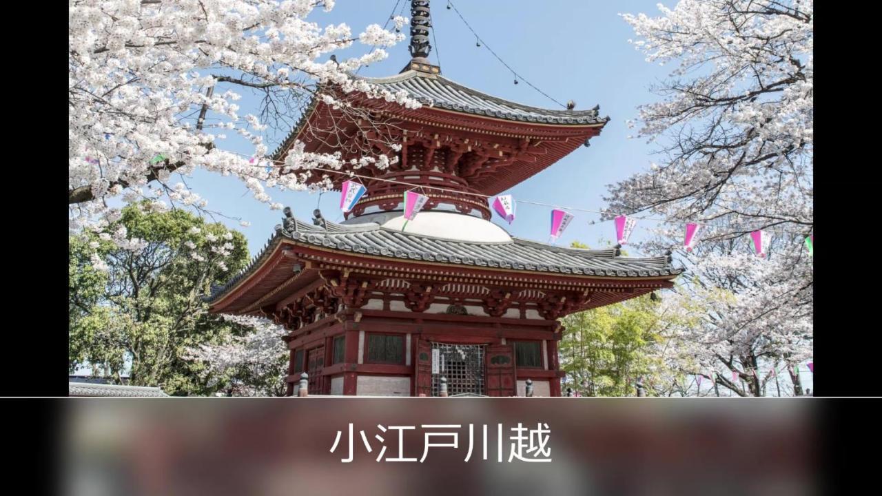 バニラリゾート鶴ヶ島  鶴ヶ島市 エクステリア 写真