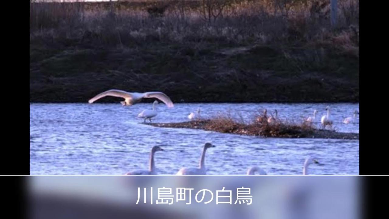 バニラリゾート鶴ヶ島  鶴ヶ島市 エクステリア 写真